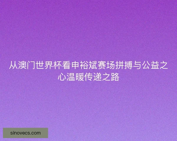 从澳门世界杯看申裕斌赛场拼搏与公益之心温暖传递之路
